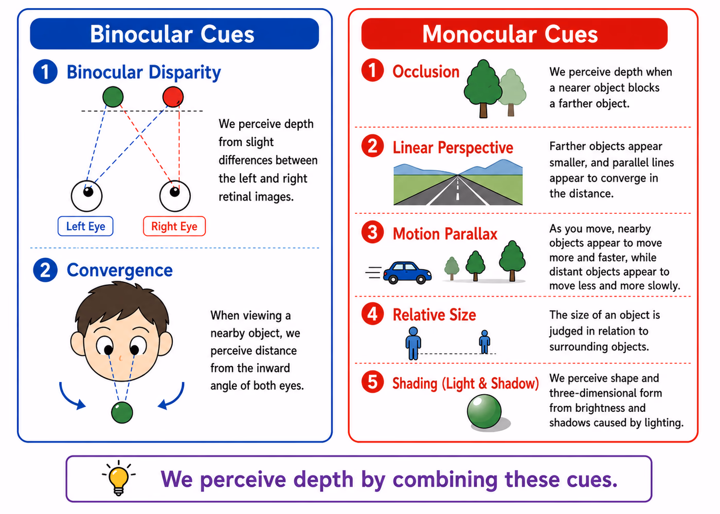 Comparison of binocular depth cues (disparity, vergence) and monocular depth cues (occlusion, perspective, motion parallax, relative size, shading)